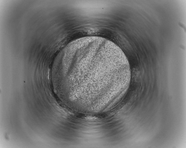 X0000096210650200802011322