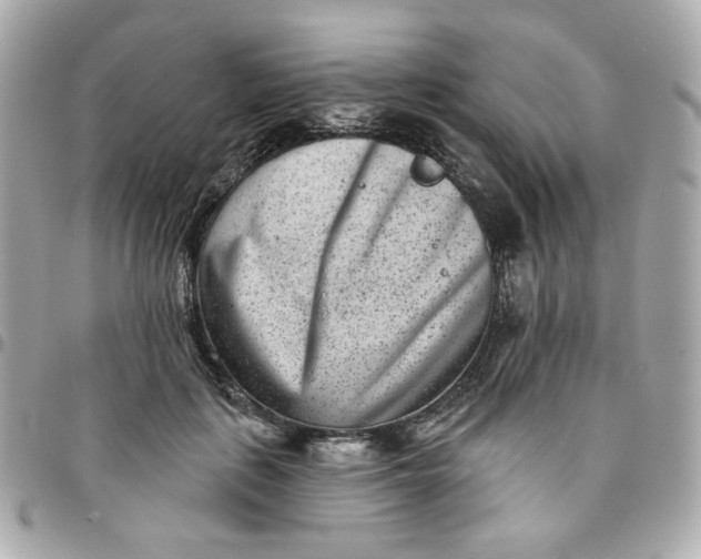 X0000096210651200802011322