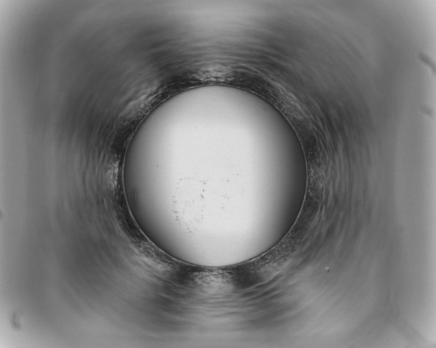 X0000096210652200802011322