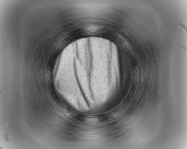 X0000096210653200802011322