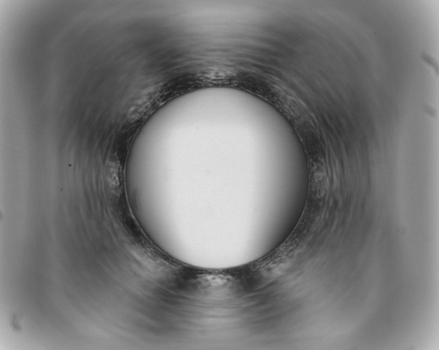 X0000096210654200802011322