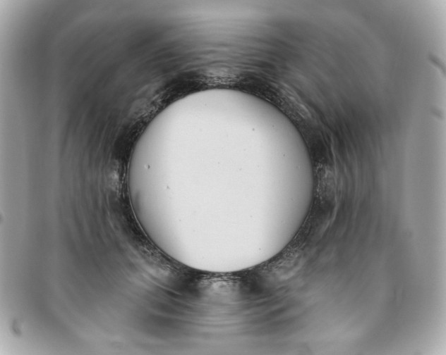 X0000096210655200802011322