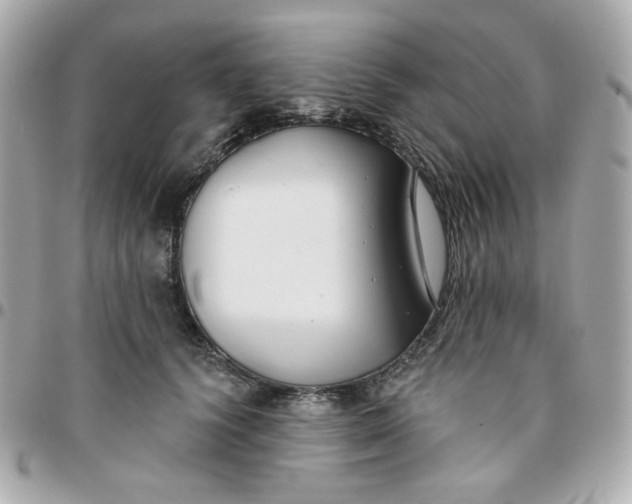 X0000096210656200802011322