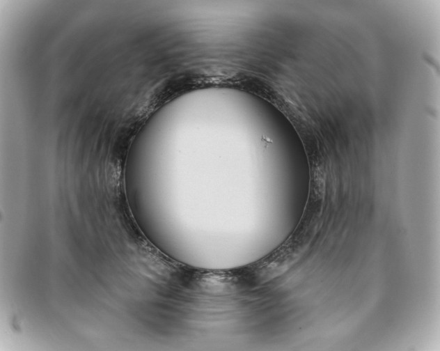 X0000096210657200802011322