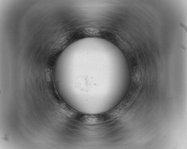 X0000096210658200802011322