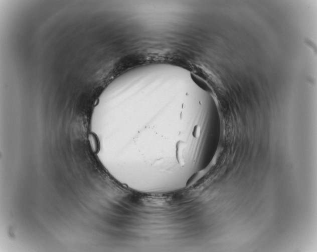 X0000096210661200802011322