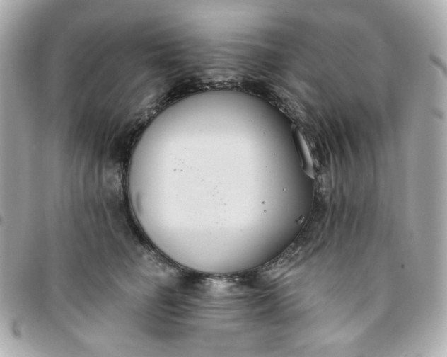 X0000096210662200802011322