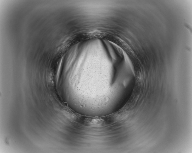 X0000096210663200802011322