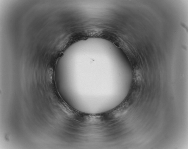 X0000096210664200802011322