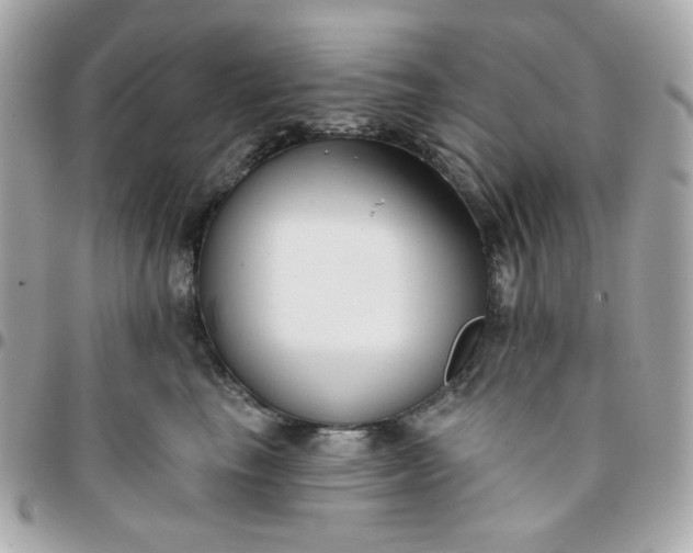 X0000096210665200802011322