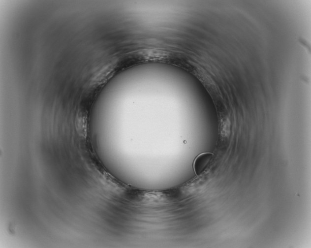 X0000096210666200802011322