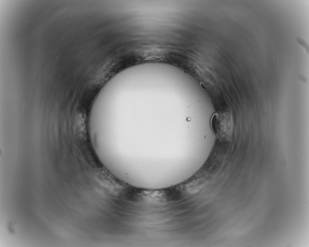 X0000096210667200802011322