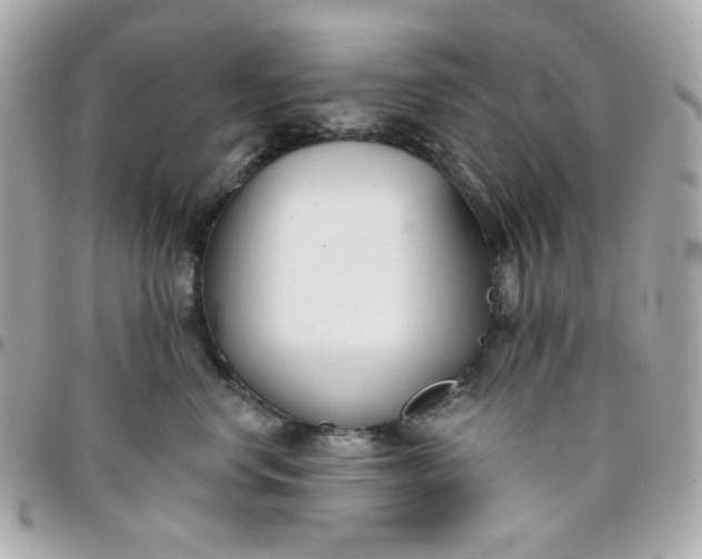 X0000096210668200802011322