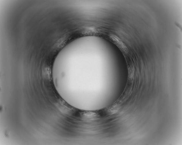 X0000096210669200802011322