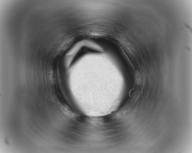 X0000096210670200802011322