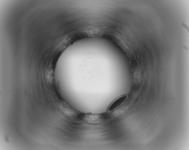 X0000096210671200802011322