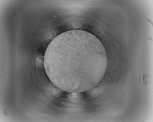 X0000096210672200802011322