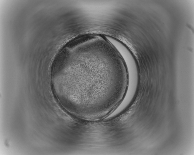 X0000096210673200802011322