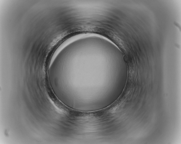 X0000096210674200802011322