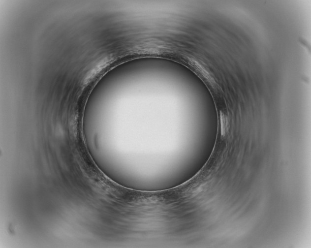 X0000096210675200802011322