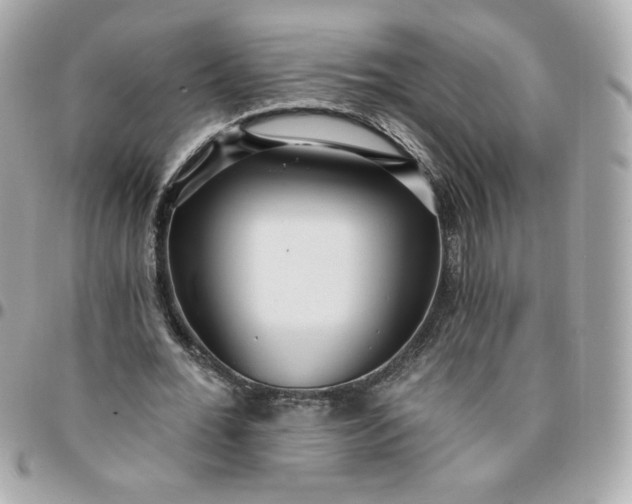 X0000096210676200802011322