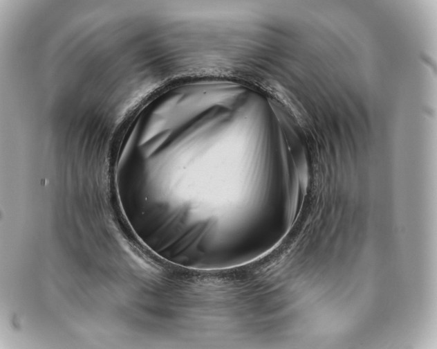 X0000096210677200802011322