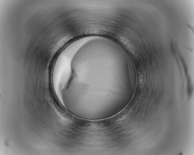 X0000096210678200802011322