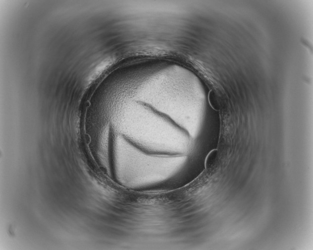 X0000096210679200802011322