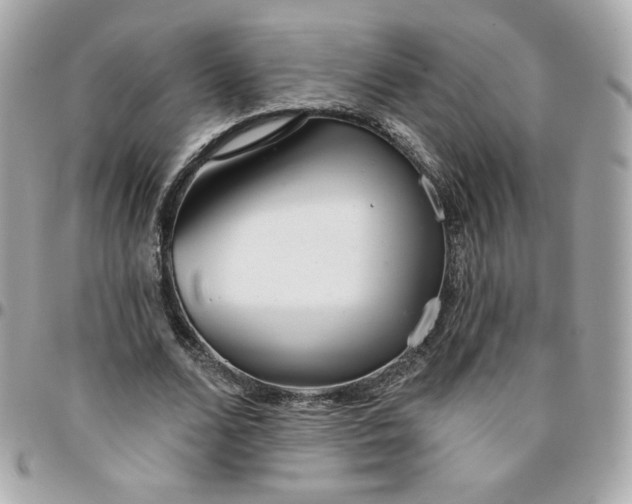 X0000096210680200802011322