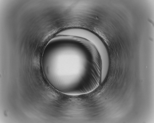 X0000096210681200802011322