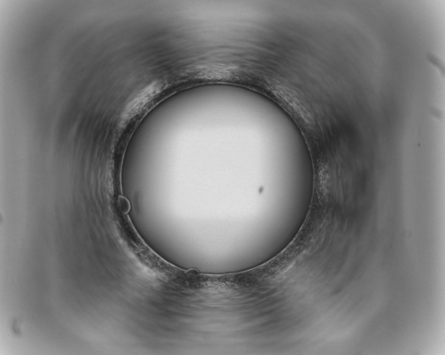 X0000096210682200802011322