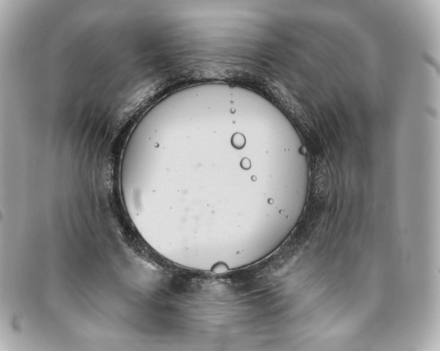 X0000096210683200802011321