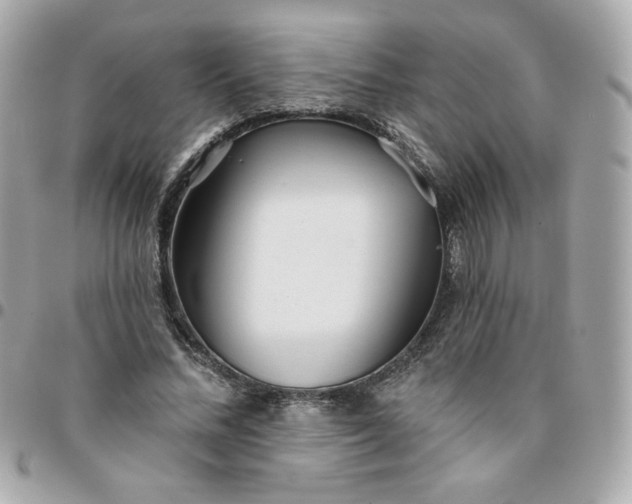 X0000096210684200802011321