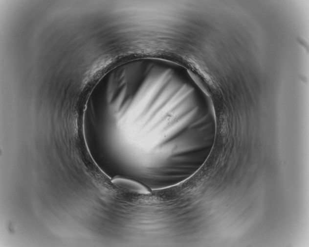 X0000096210685200802011321