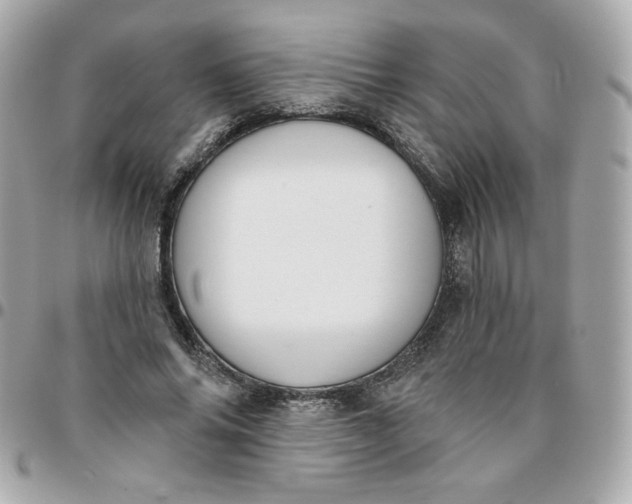 X0000096210686200802011321