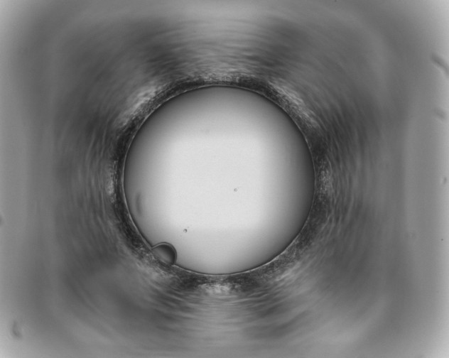 X0000096210687200802011321