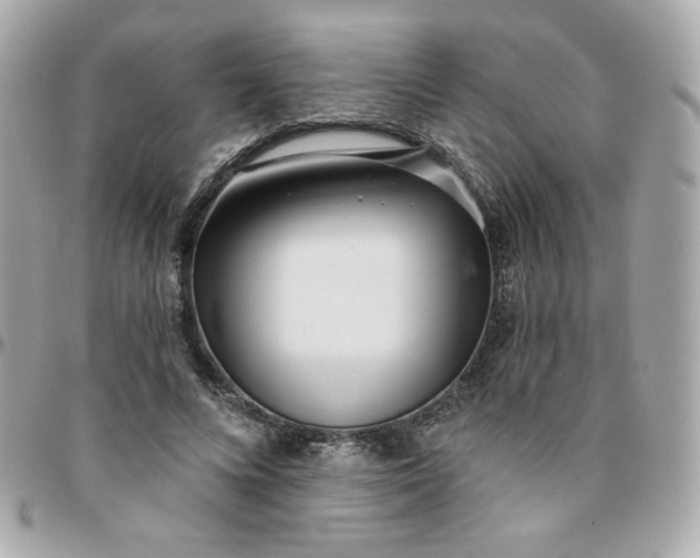 X0000096210688200802011321