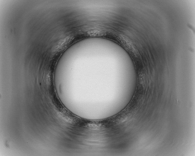 X0000096210690200802011321