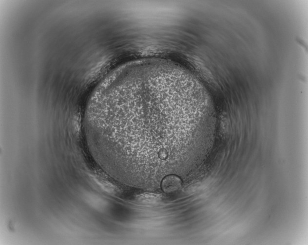 X0000096210691200802011321