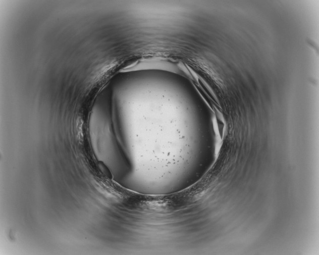 X0000096210692200802011321