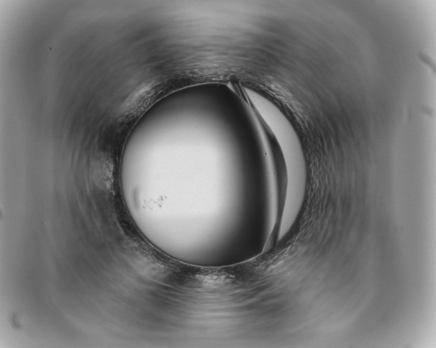 X0000096210693200802011321