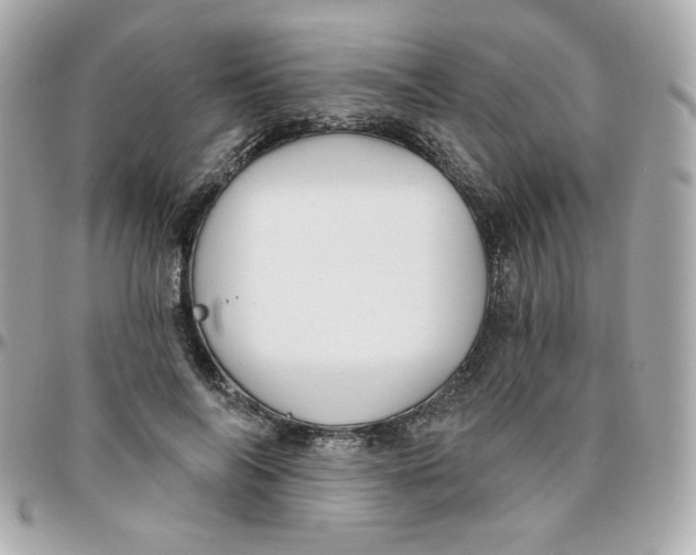 X0000096210694200802011321