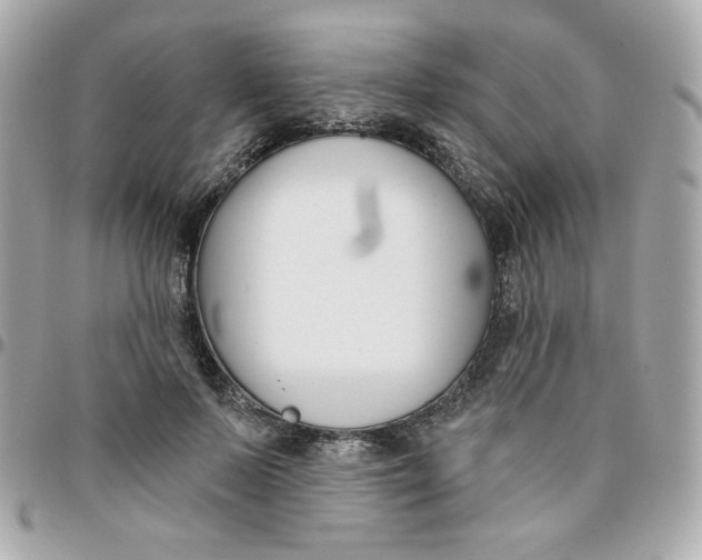 X0000096210695200802011321