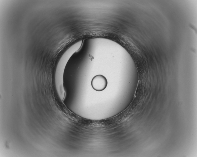 X0000096210696200802011321