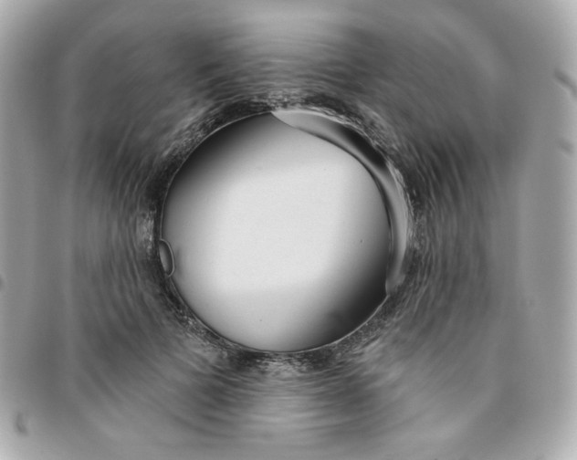 X0000096210697200802011321