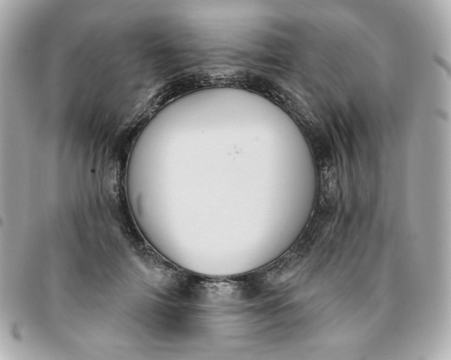 X0000096210698200802011321