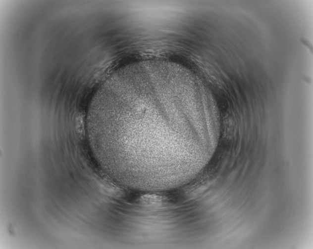 X0000096210699200802011321