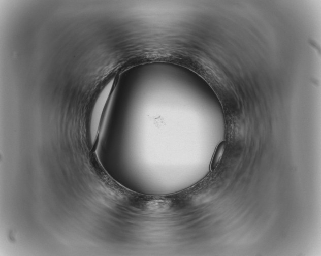 X0000096210700200802011321