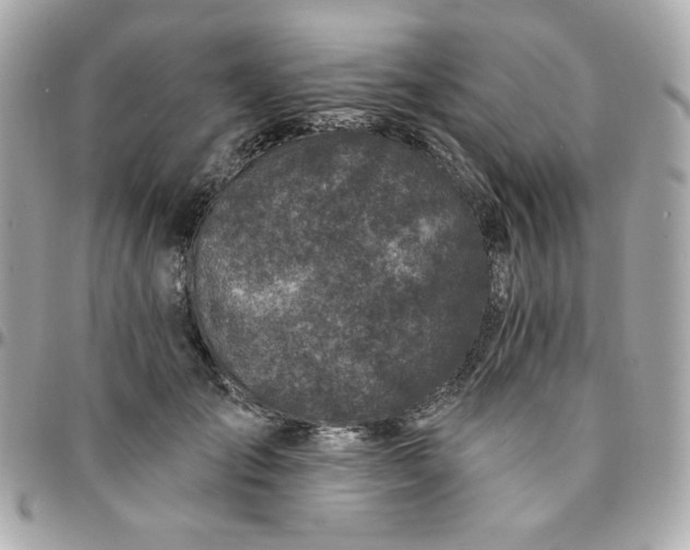 X0000096210701200802011321