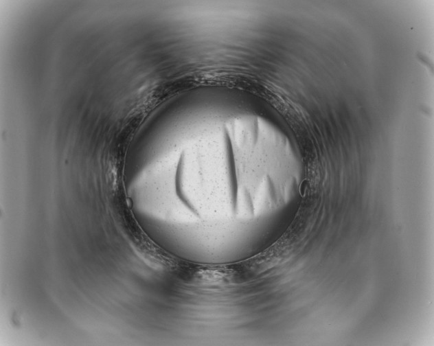 X0000096210703200802011321